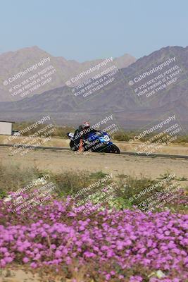 media/Feb-04-2023-SoCal Trackdays (Sat) [[8a776bf2c3]]/Turn 15 Inside Blooming (1050am)/